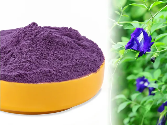 Benefits of Butterfly Pea Flower Extract Powder｜Binmei