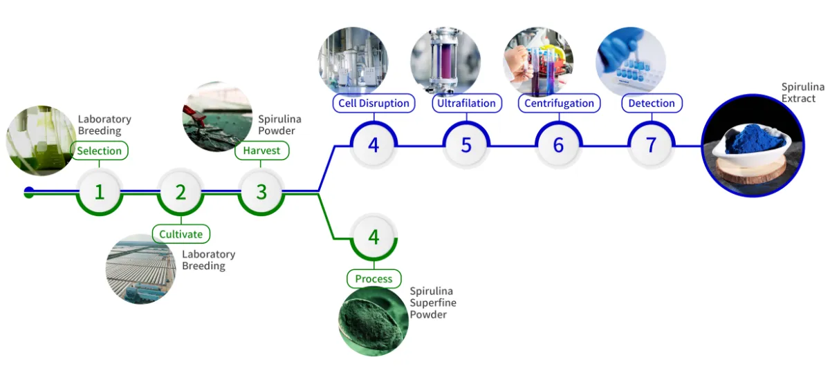 blue_spirulinaextract_img1 blue_spirulinaextract_img1