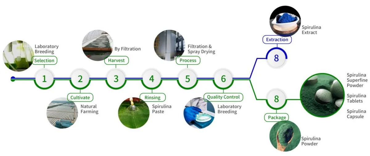 green_Spirulina_img1 green_Spirulina_img1