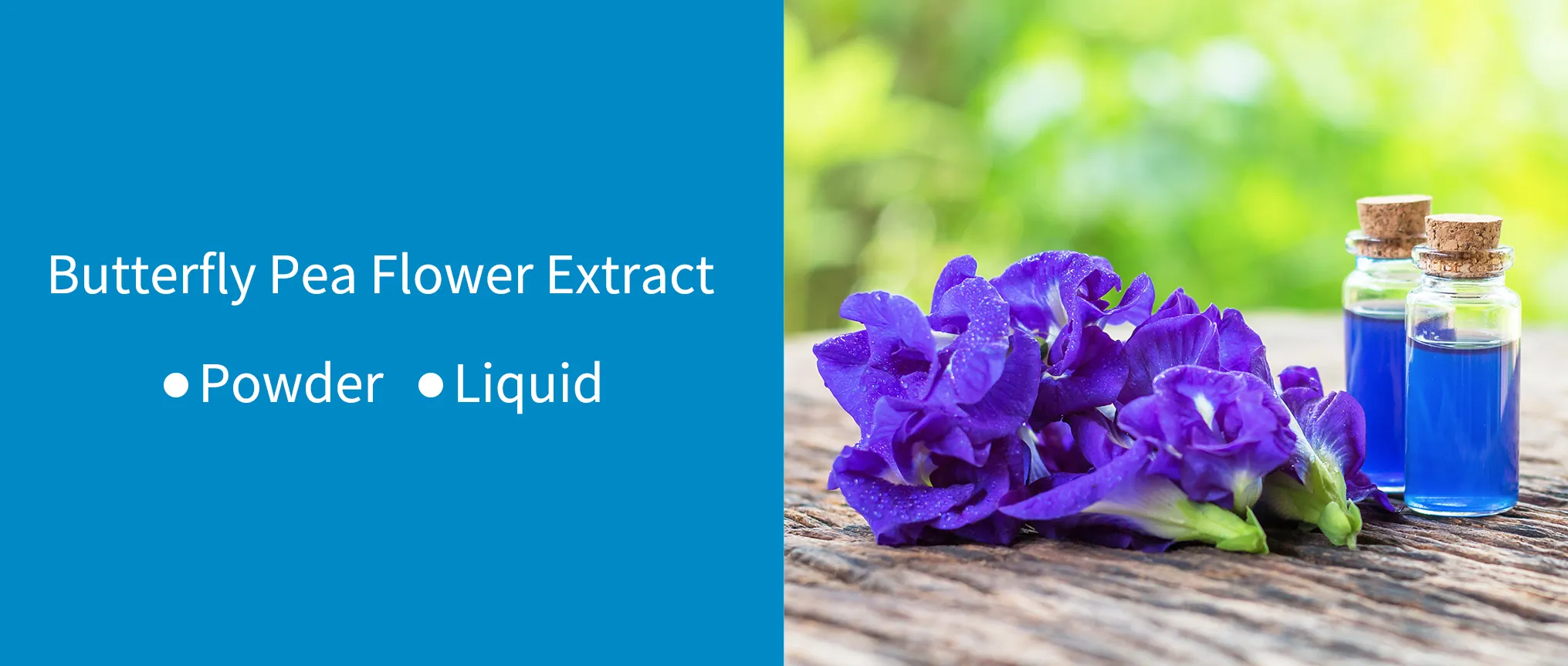 BINMEI butterfly pea flower extract
