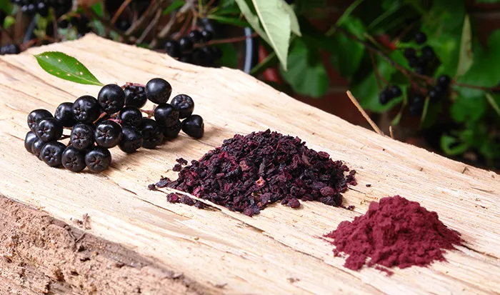 What is Aronia Berry Extract?