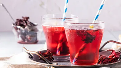 hibiscus-1