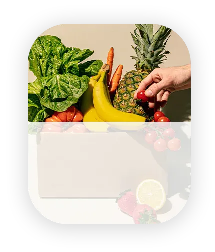 Food Ingredients