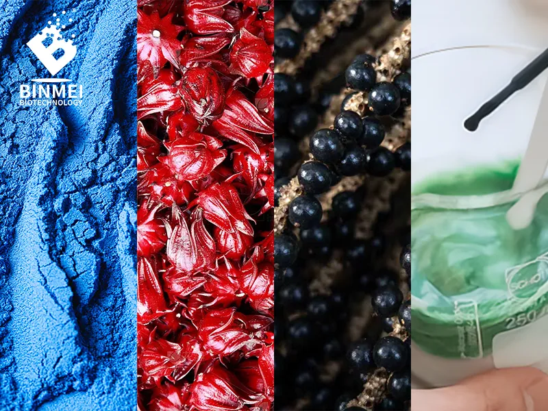 Blue Spirulina — Cracking the Toughest Natural Color 
Hibiscus Sabdariffa — Natural Red 40 Alternative
Açaí Berry — Color + Superfood Appeal
Natural Green — Turning instability into control

