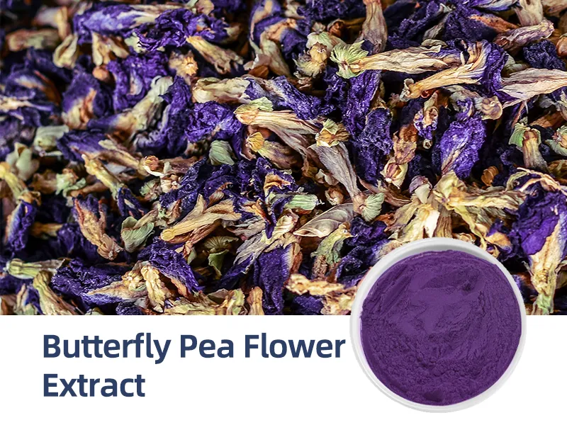Butterfly Pea Flower Extract