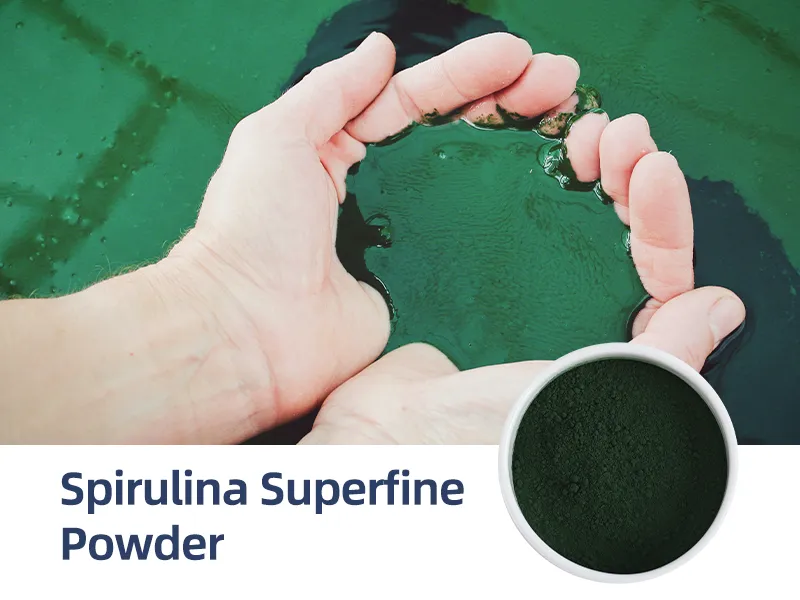 Spirulina Superfine Powder