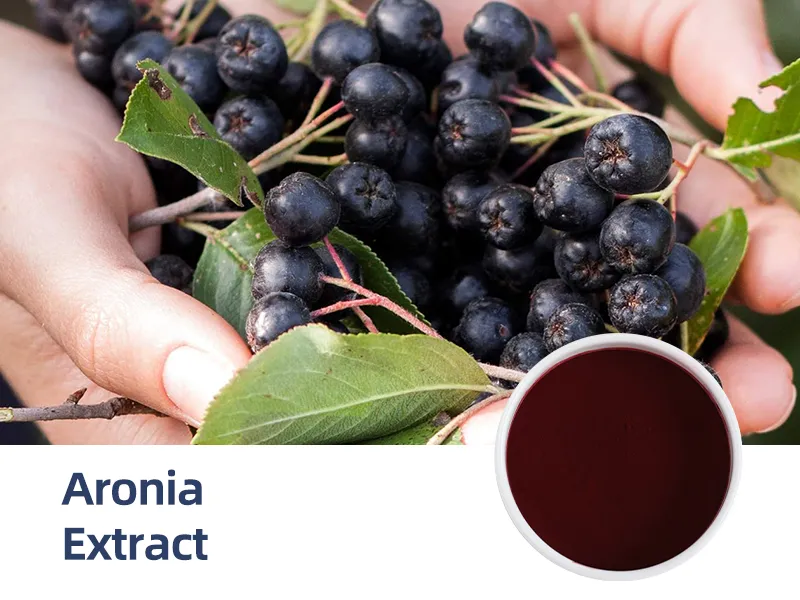 Aronia Berry Extract