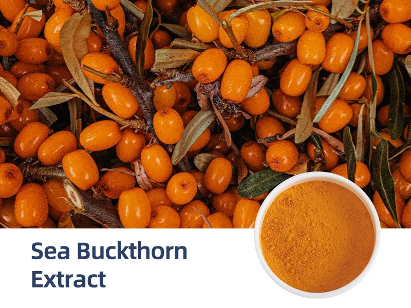 Sea Buckthorn Extract