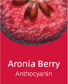 Aronia Berry