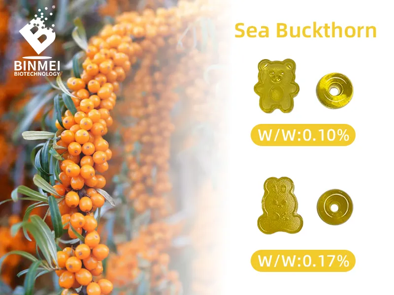 Sea Buckthorn Concentrate for Gummies
