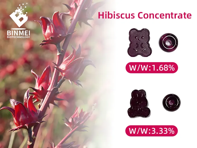 Hibiscus Concentrate for Gummies
