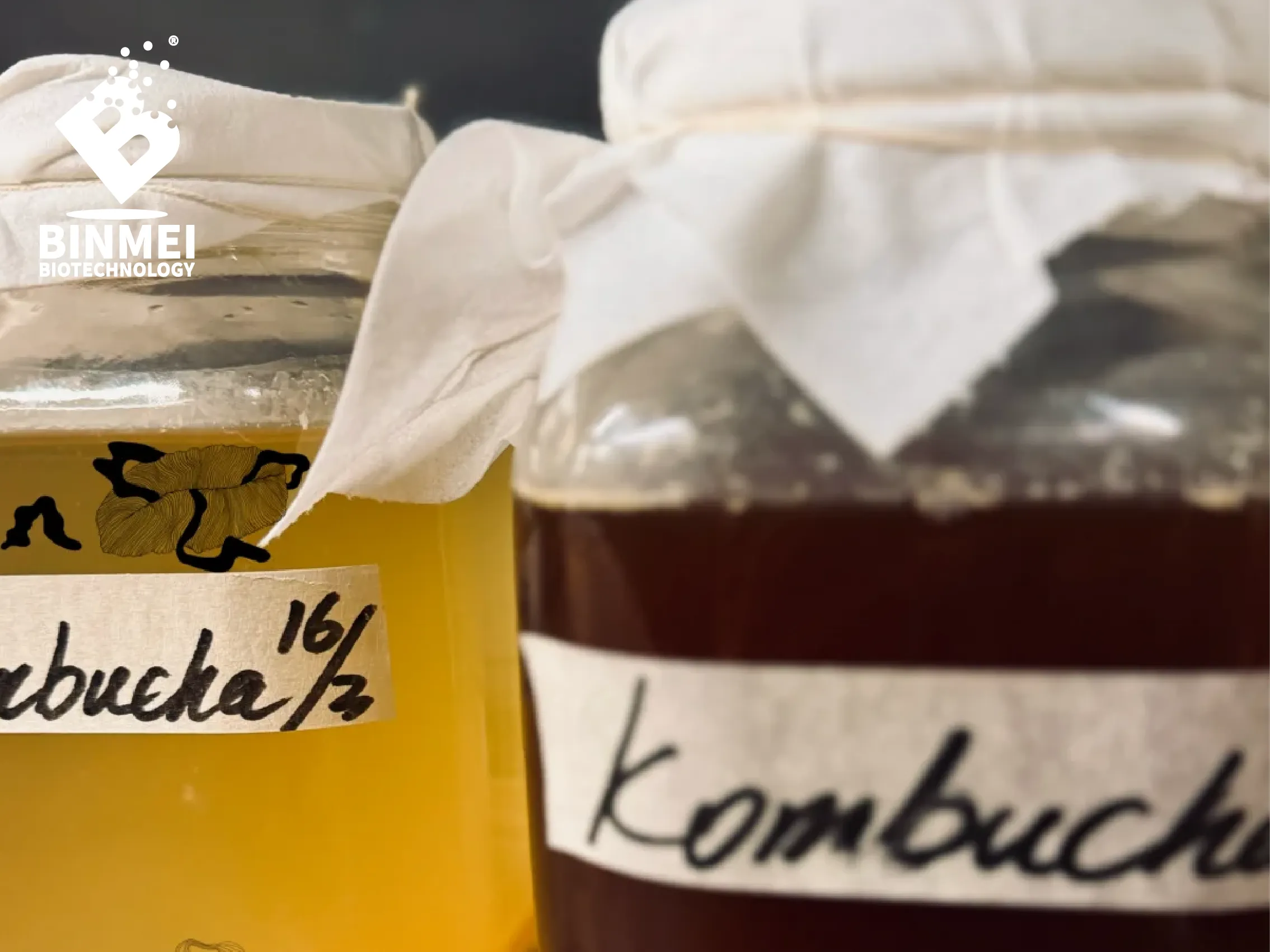 Kombucha