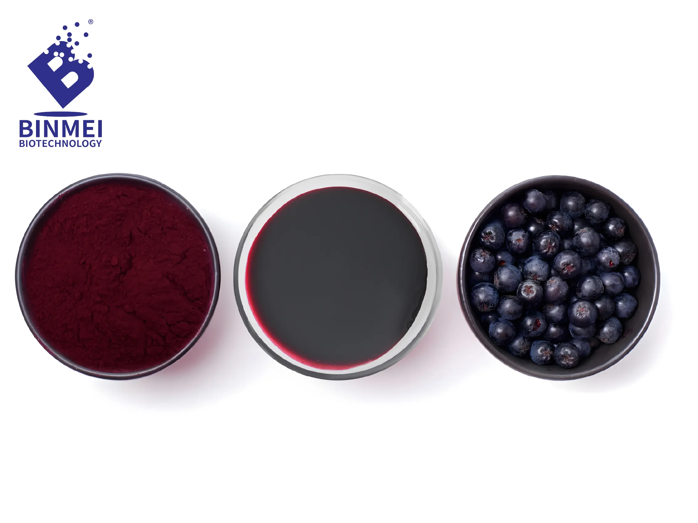 BINMEI Aronia Berry Extract: Technology-Driven for Better Performance