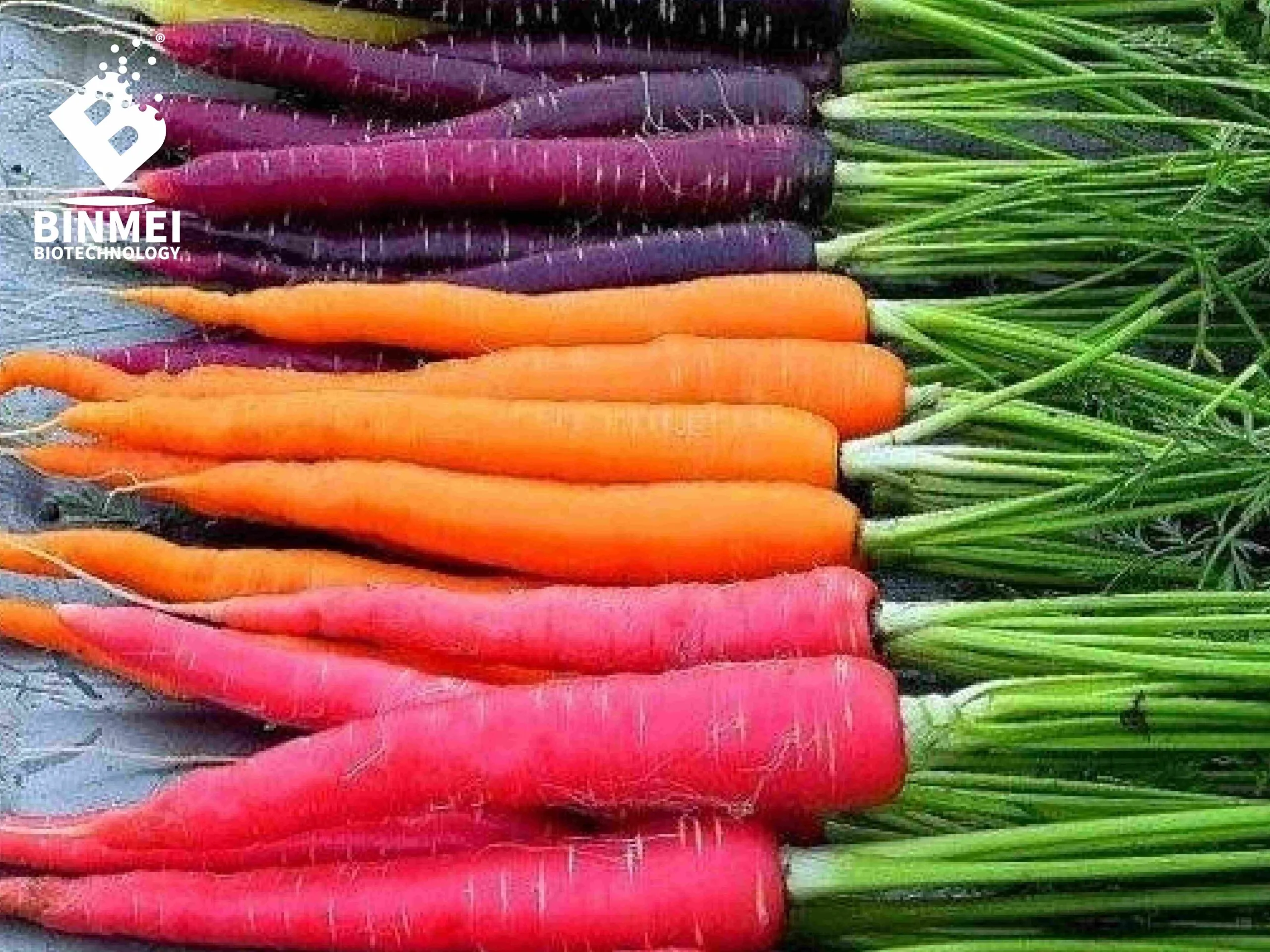 carrots