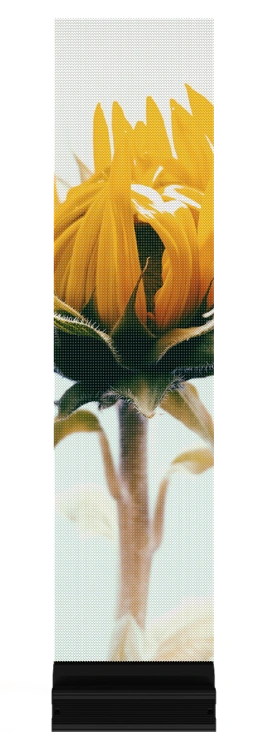 C-Mesh