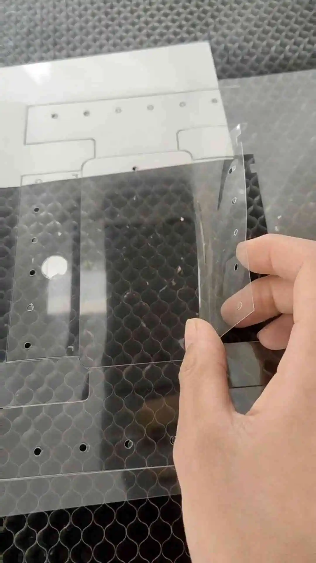 PETCutting.mp4