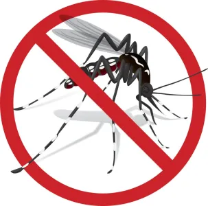Why should we kill mosquito?