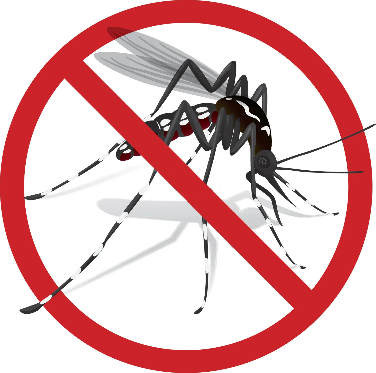 Why should we kill mosquito? Dream Fine