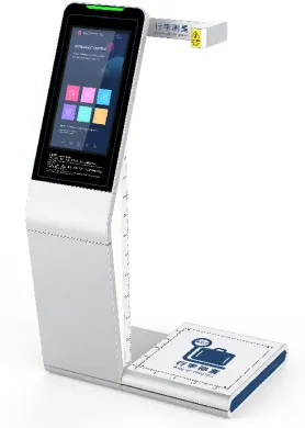 Intelligent luggage measurement termina