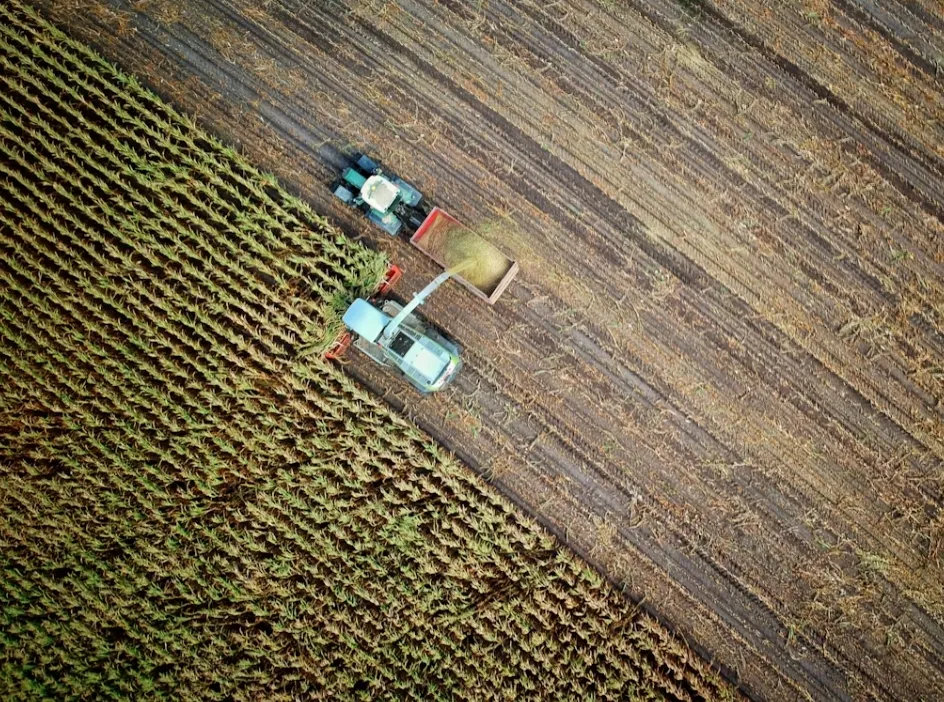 Agriculture