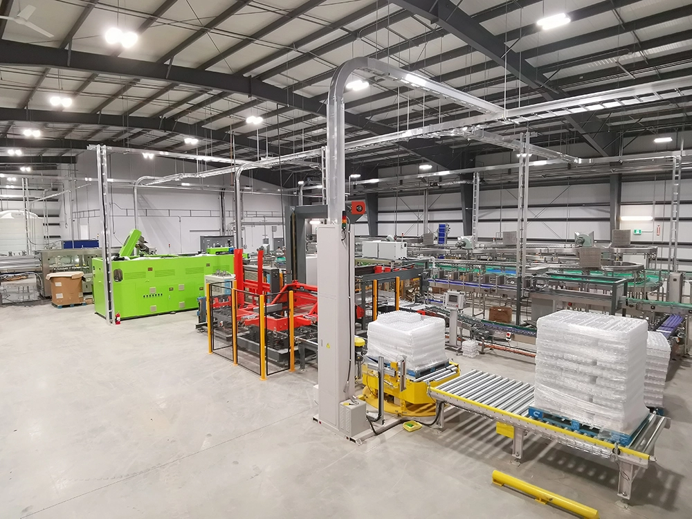 Gantry Palletizer (1)