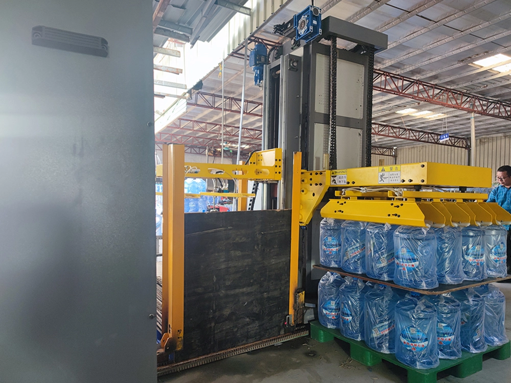 Gantry Palletizer (6)