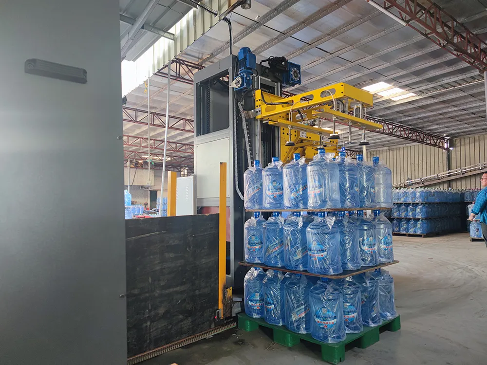 Gantry Palletizer (7)