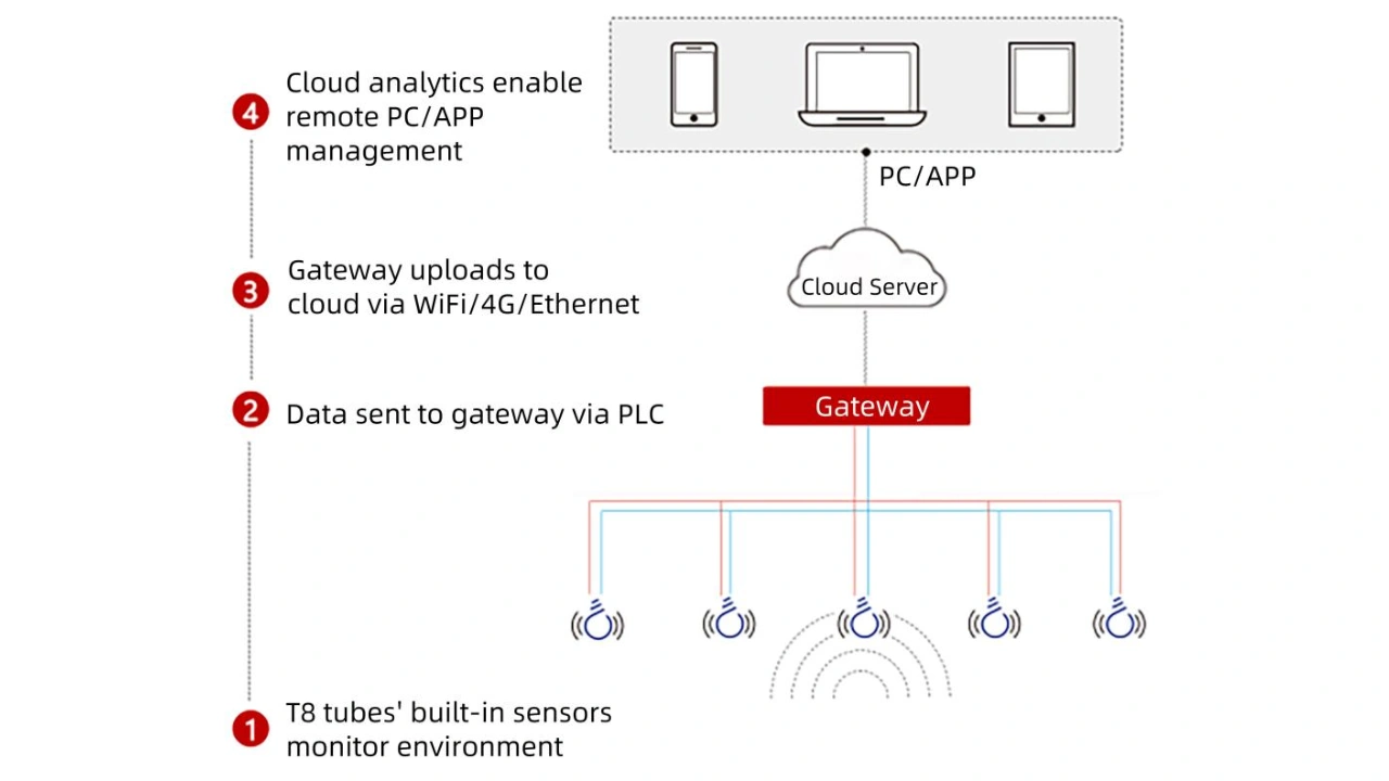 Network Topology Diagram