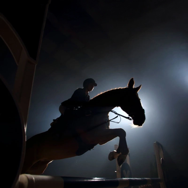 horse-arena-lights