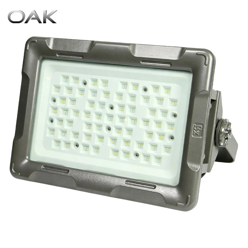 explosion proof flood light