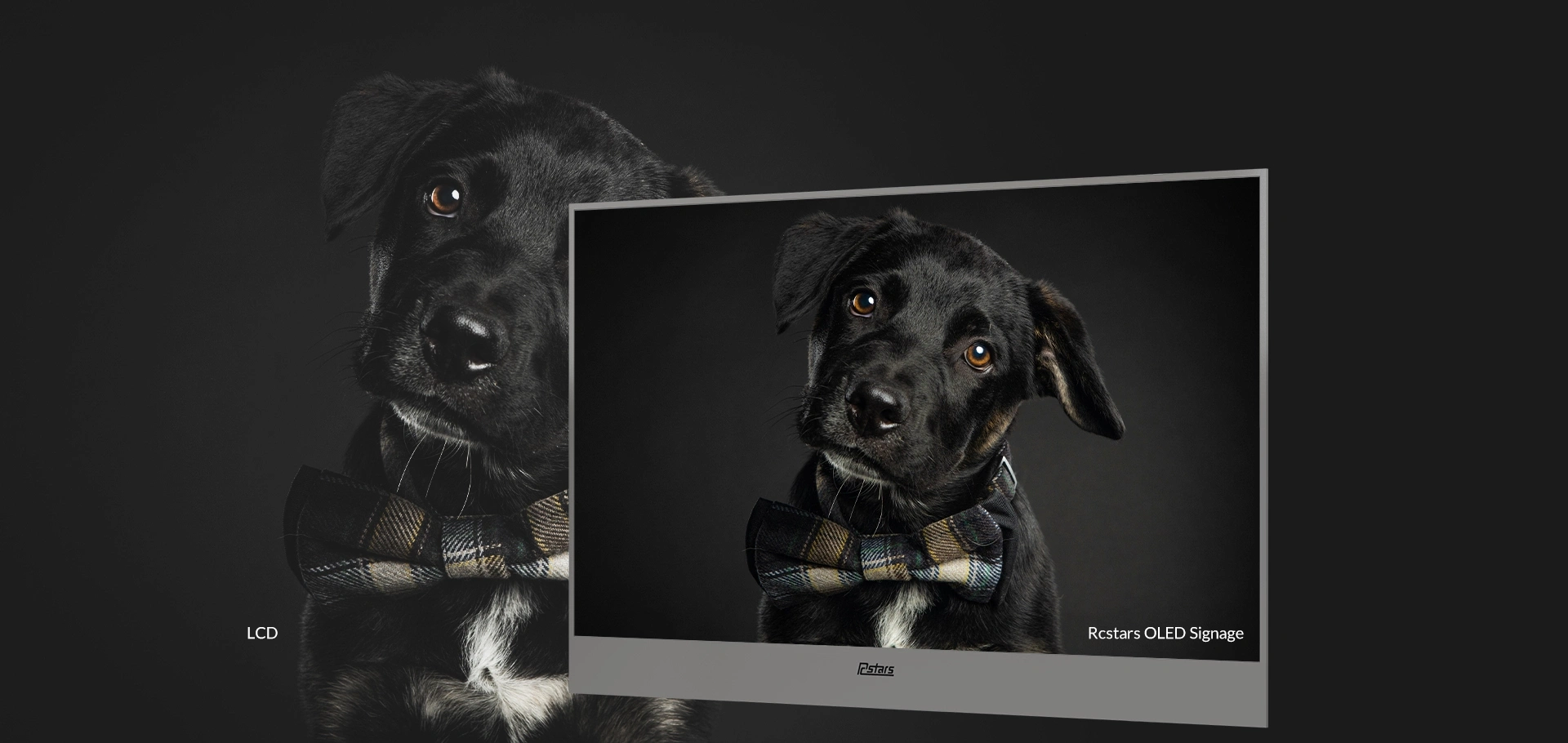 rcstars-oled-transparent-signage-detail-4