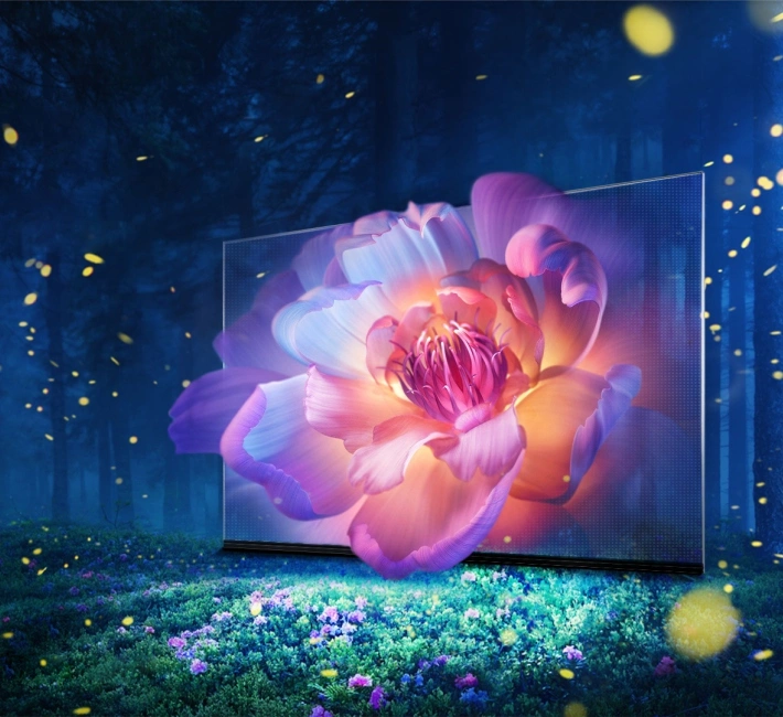 Invisible Screen (11)