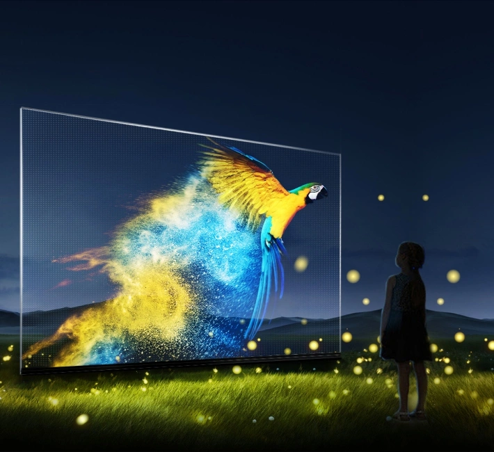 Invisible Screen (12)