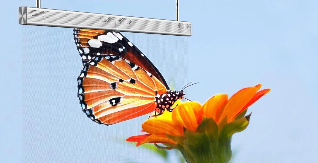 Invisible Screen (4)