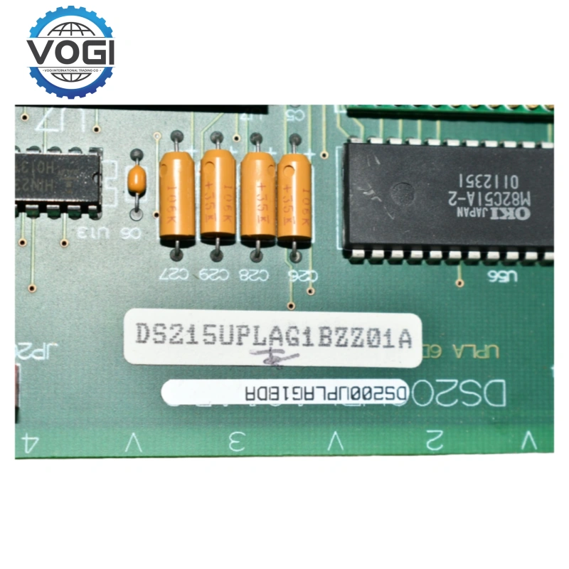 DS215UPLAG1BZZ01A（1）