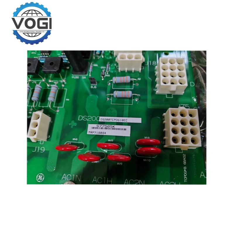 DS200TCPDG1B(1)