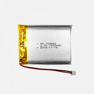Back-up Battery for DE-4100