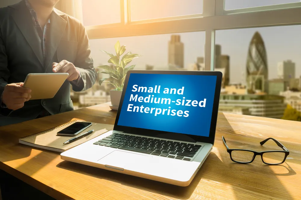 Sme,Or,Small,And,Medium-sized,Enterprises,Thoughtful,Male,Person,Looking Digital Marketing Services for Small Business