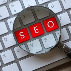 SEO SEO