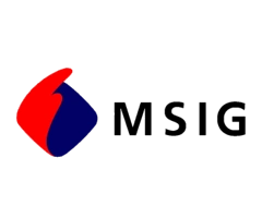 MSIG