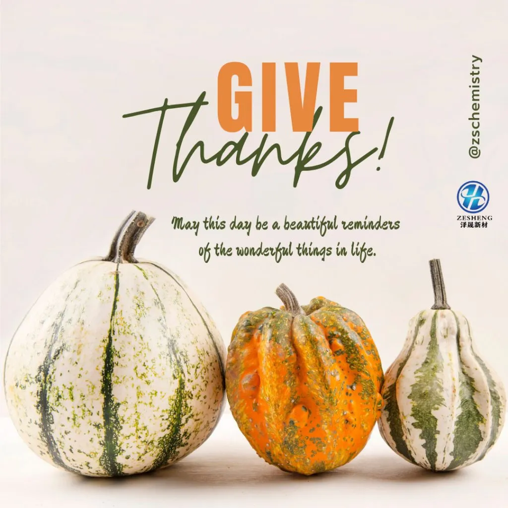 What are your plans for this Thanksgiving Day on Nov. 24? – zschemistry