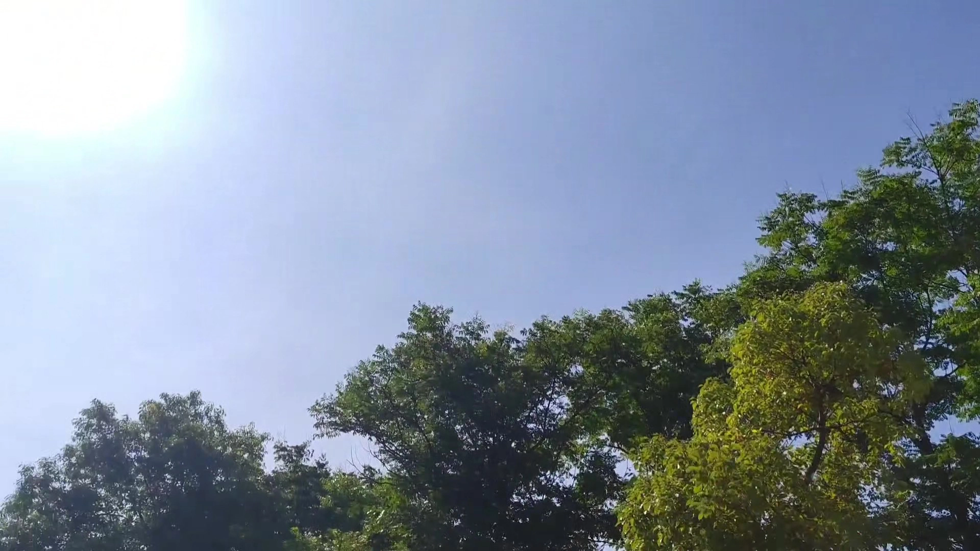 高温下油管插不进去，解决办法 - frame at 0m2s